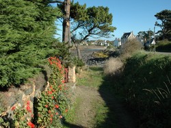 une autre vue sur Primel,avec ces géraniums qui poussent généreusement en Bretagne, proche de notre gîte bretagne location bord de mer
