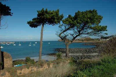 Gite Bretagne Plougasnou location de vacances